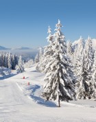 Ski Chalets in Les Gets - Image Credit:Shutterstock